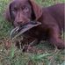 Profile Picture of Mike Simpkins (@mike.simpkins.9828) on Facebook