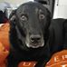 Profile Picture of June Bug Blake (@june.b.blake) on Facebook