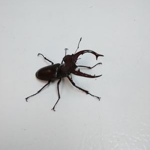 Profile Picture of Paul Marceau (@PaulMarceau6) on Twitter