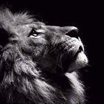 Profile Picture of Andy blanco (@andresaezblanco) on Instagram