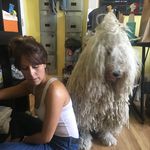 Profile Picture of Hannah Tye (@imetmonty) on Instagram