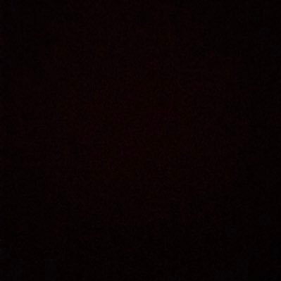 Profile Picture of Stephen C. 🤑 (@StephenCarrera3) on Twitter