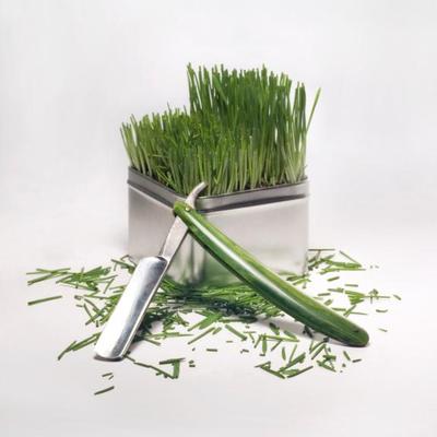 Profile Picture of Howards Lawn Care (@HowardsLawnCare) on Twitter