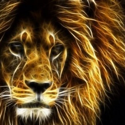 Profile Picture of Bikash Gurung (@bikashgurung84) on Twitter