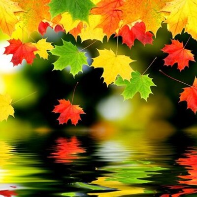 Claudia And Cassie - Twitter Profile Picture of Claudia And Cassie (@Dash_of_seasons) on Twitter