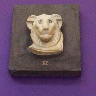 Profile Picture of Marshall Waddell (@WaddellMarshall) on Twitter