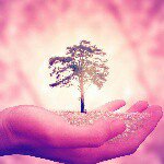 Lizzy james - Instagram Profile Picture of Lizzy james (@lizzy.james) on Instagram