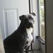 Profile Picture of Barry Tedder (@barryt4293) on Pinterest