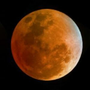 Profile Picture of Joseph darkus (@josephdarkus0) on Tiktok