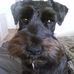 Profile Picture of Marley Jarvis (@marley.jarvis) on Facebook