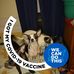Profile Picture of Herman Wyatt (@herman.wyatt.1) on Facebook