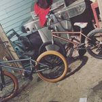 Donald cahill - Instagram Profile Picture of Donald cahill (@duckz_bmx) on Instagram