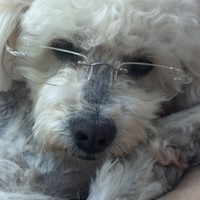 Profile Picture of Oneida Rivera (@oneida-rivera-1) on Quora