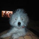 Profile Picture of Dan Constantinescu (@dan.constantinescu.58) on Instagram