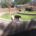 Profile Picture of David Cabrales (@David-Cabrales) on Facebook