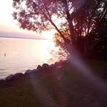 Profile Picture of Rosemarie Bugge (@rosemariebugge) on Instagram