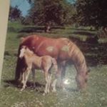 Profile Picture of Roberto REarte (@roberto.rearte.56) on Instagram