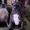 Profile Picture of Dorothy Estes (@Dorothy-Estes) on Facebook