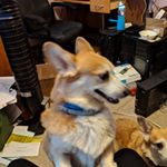 Profile Picture of Robin (@robinutley) on Instagram