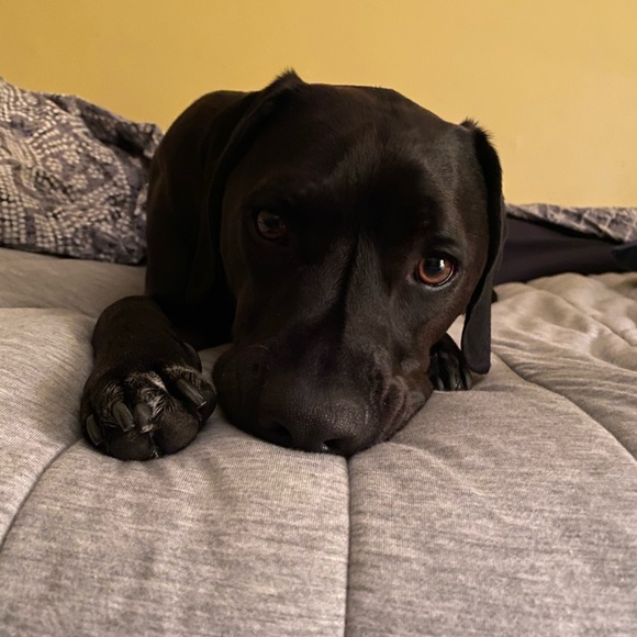 Profile Picture of Dee Sneeden (@deesneeden) on Poshmark