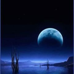 Profile Picture of Krishna Srivastava (@Krishna83469168) on Twitter