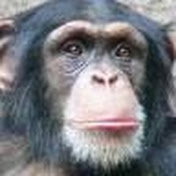 Profile Picture of Steve Jennings (@stevejennings9747) on Youtube