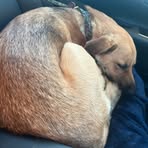 Profile Picture of Sam Boucher (@ZelxzrealYT) on Facebook