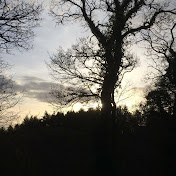 Profile Picture of Jean-michel Devisme (@jean-micheldevisme325) on Youtube