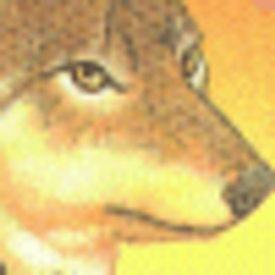 Profile Picture of Whitney Stern (@qjofightes) on Twitter