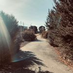 Profile Picture of Callie Ramsey (@callieramsey_08) on Instagram