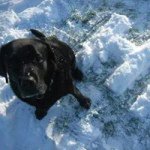 Profile Picture of Dawn Coleman (@dcsnowdon09) on Instagram