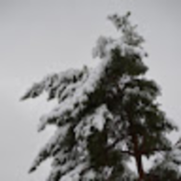 Profile Picture of Nicholas Selleck (@precip2005) on Poshmark