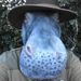Profile Picture of Larry Meza (@skipperlarry) on Pinterest
