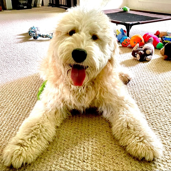 Profile Picture of Shelly Stokes (@purenrg4lif) on Poshmark