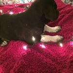 Profile Picture of Sam Witherspoon (@witherspoonsam) on Instagram