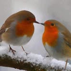 Profile Picture of Geoffrey Bramham (@geoffrey.bramham) on Facebook