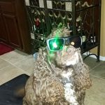 Profile Picture of Sean Steele (@seansteele86) on Instagram