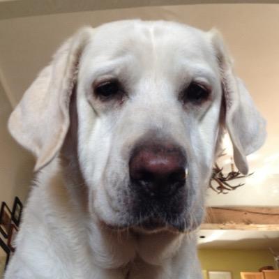 Profile Picture of @leighva5 (@leighva5) on Twitter