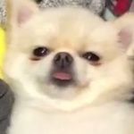 Profile Picture of b a i l e y (@bailey.morrow) on Instagram