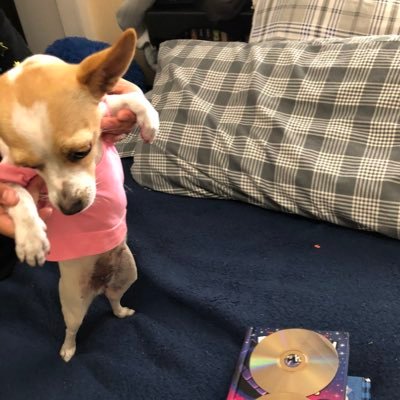 Profile Picture of Adrian Anzures (@AdrianAnzures3) on Twitter