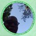 Profile Picture of Ray Charles (@ray.charles.5201254) on Facebook