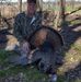 Profile Picture of Mark Tessman (@mark.tessman.3) on Facebook
