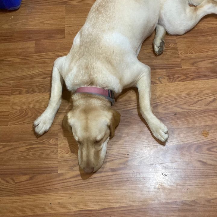 Profile Picture of scottcravener (@thomas07194) on Tiktok