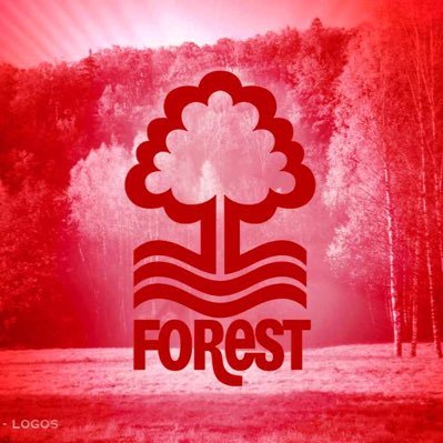 Profile Picture of John Ruddock (@JohnRuddock13) on Twitter