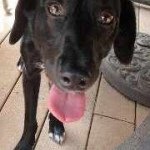 Profile Picture of Stephanie Baker Scuderi (@scuderi2001) on Instagram