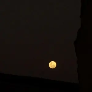 Profile Picture of . (@eutomuitomalkkkjjk) on Tiktok