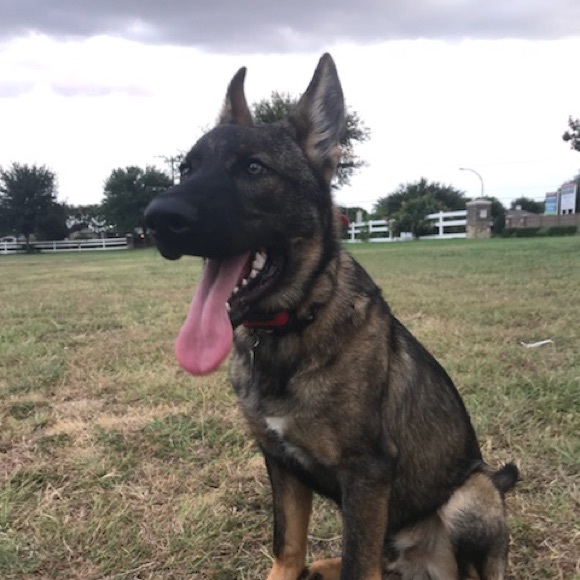 Profile Picture of David Deniz (@dcdeniz) on Poshmark