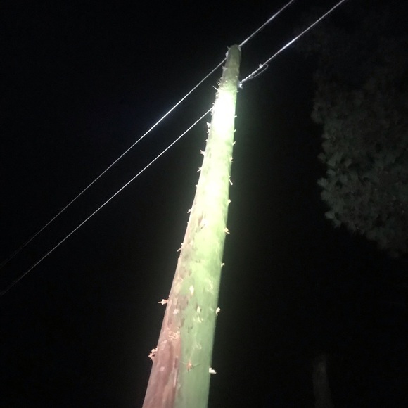 Profile Picture of Casey Lambert (@clambert111) on Poshmark