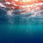 _sherrycyrus_ - Instagram Profile Picture of _sherrycyrus_ (@_sherrycyrus_) on Instagram