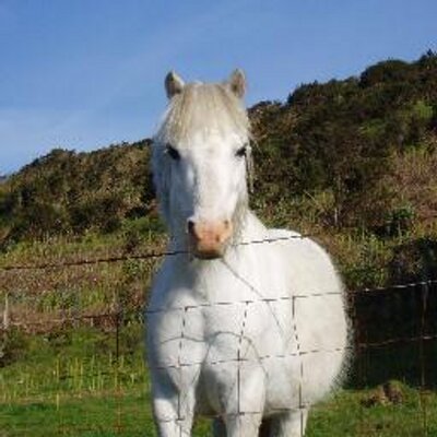 Profile Picture of Julian Weeks (@JuWeeks) on Twitter